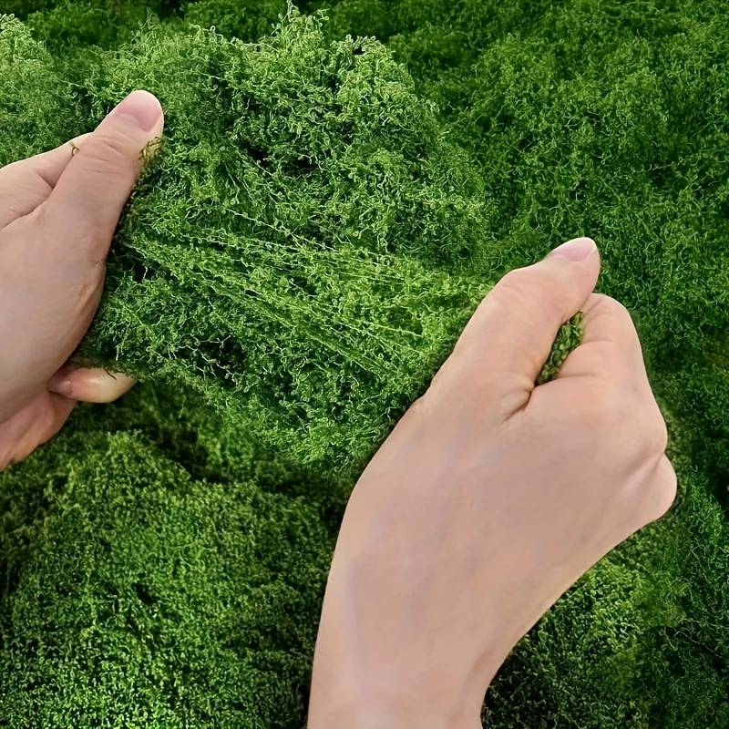 20' X 20' Faux Moss Mat for Pl - đánh giá và giá Sphagnum Moss Dry