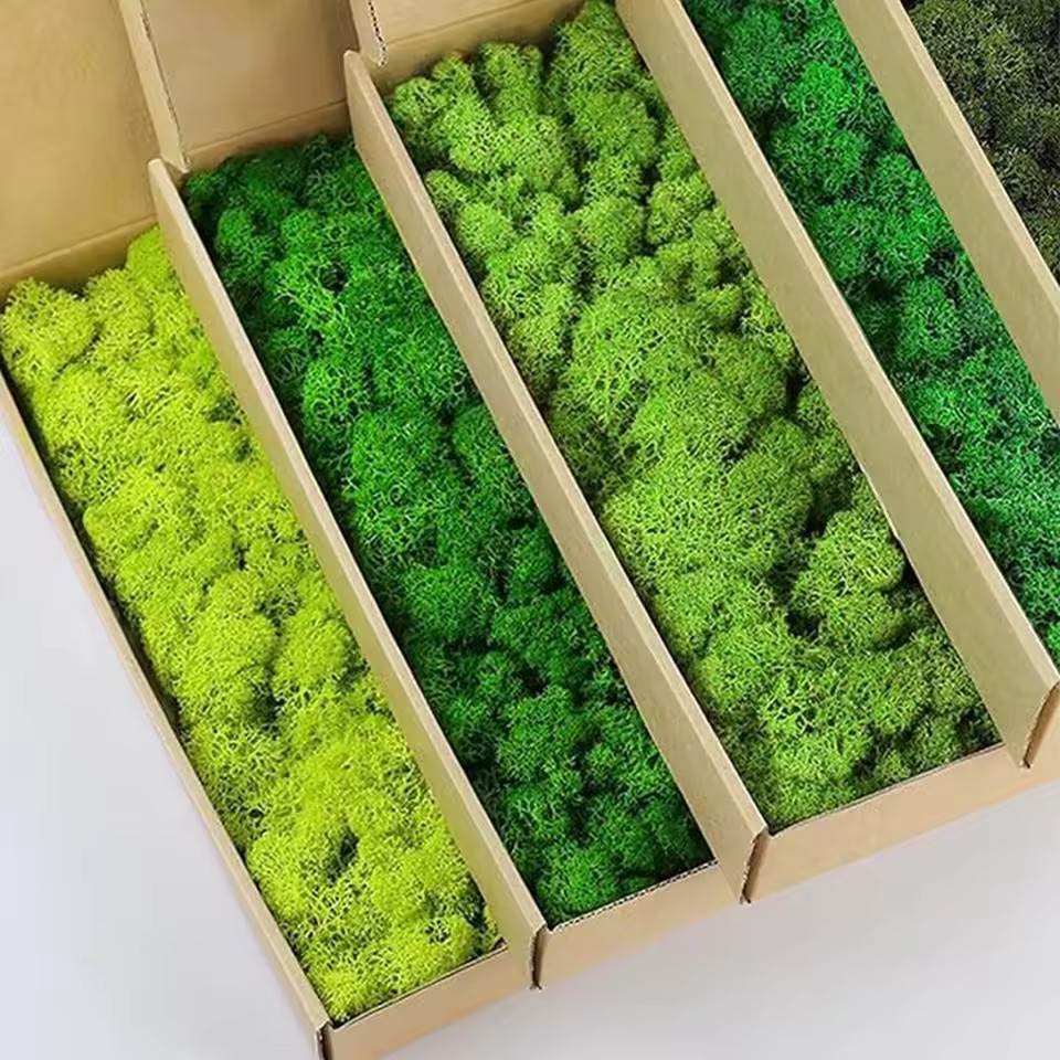 20-200g Artificial Green Plant - đánh giá và giá Sphagnum Moss Dry