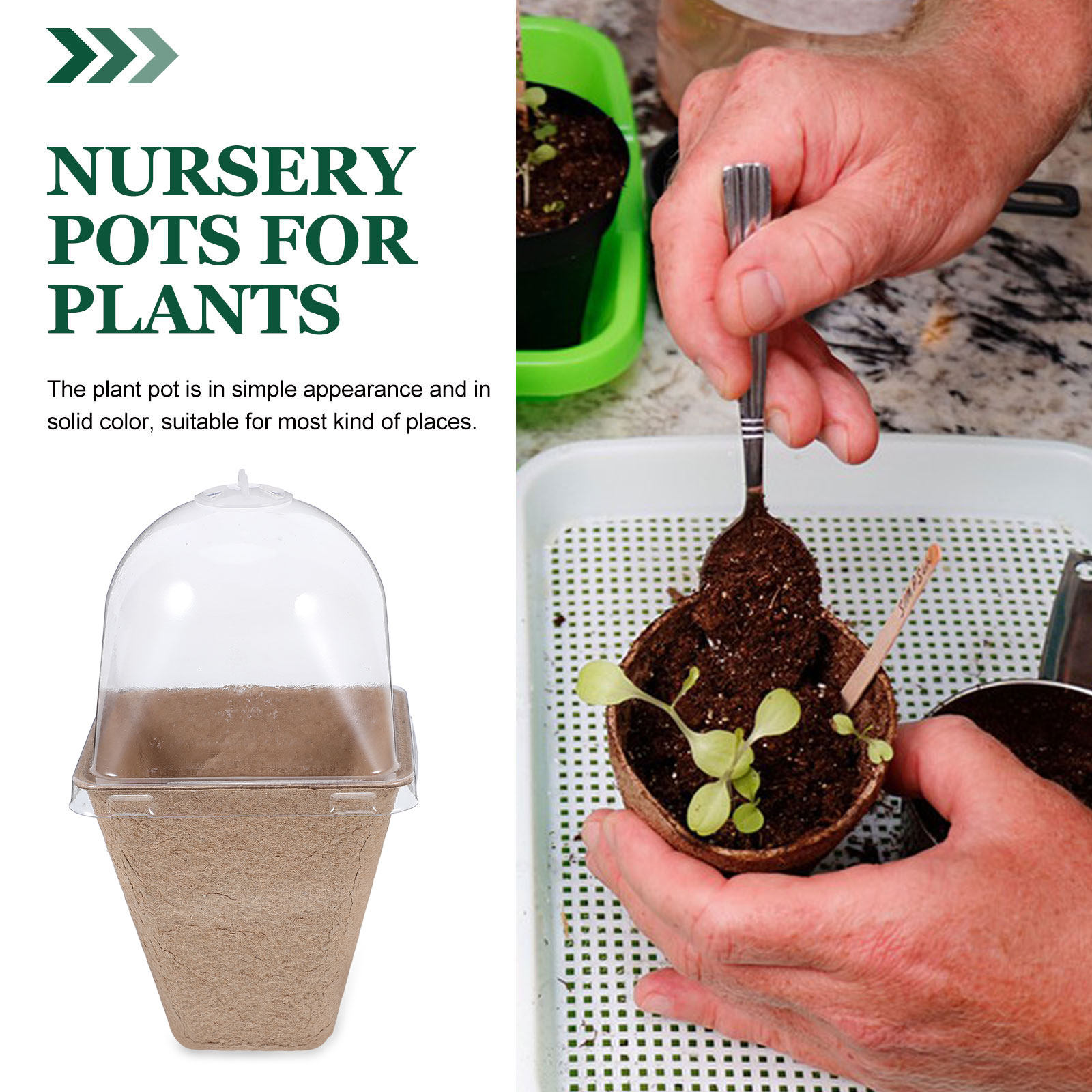 10Pcs Biodegradable Seedling S - đánh giá và giá Humidity Dome Kit