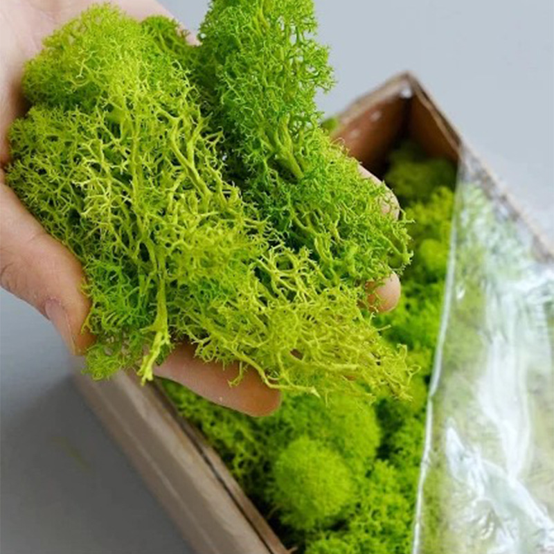 Artificial Green Plants Mini L - đánh giá và giá Sphagnum Moss Dry