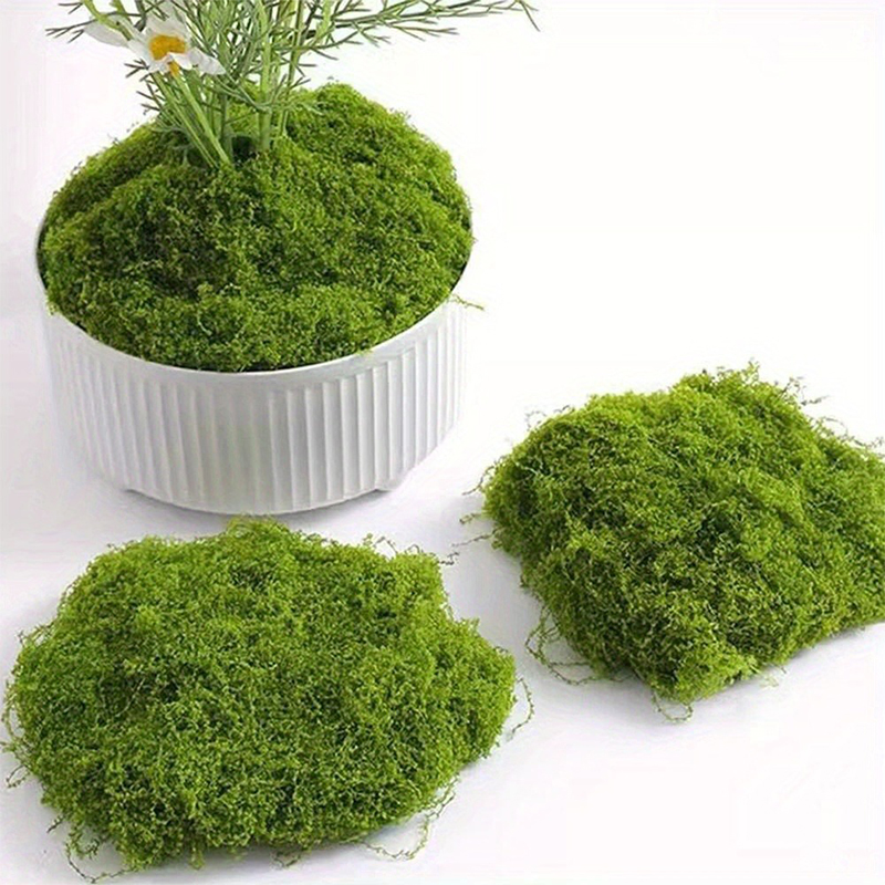 Green Fake Moss DIY Crafts Gra - đánh giá và giá Sphagnum Moss Dry